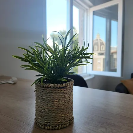 Apartman Quinn Teuta In *